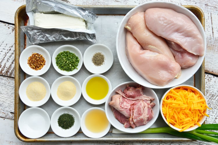 raw chicken, shredded, cheese, raw bacon, water, apple cider vinegar, dried chives, garlic, powder, onion powder, dried dill, red pepper flakes, and black pepper all in individual bowls next to a block of cream cheese