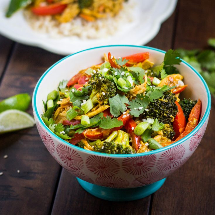 The Best Low Carb Indian Food Recipes. Try these Low Carb Indian Recipes to give a bit of flare to your keto diet. They will not disappoint! coconut chicken curry