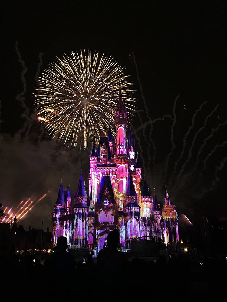 Happily Ever After Fireworks at Magic Kingdom Disney World