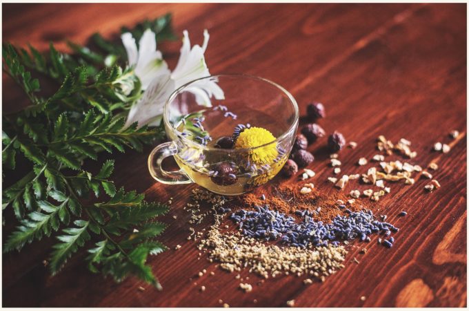 What are Adaptogens? You've probably heard this word thrown around and being praised for their healing powers and stress reduction. But do they actually work? Or are they just the next fad pill or powder designed to take your money?
