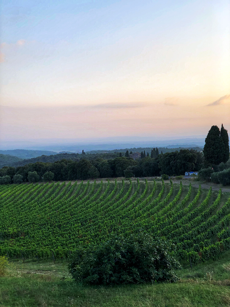 Tuscany at Sunset
