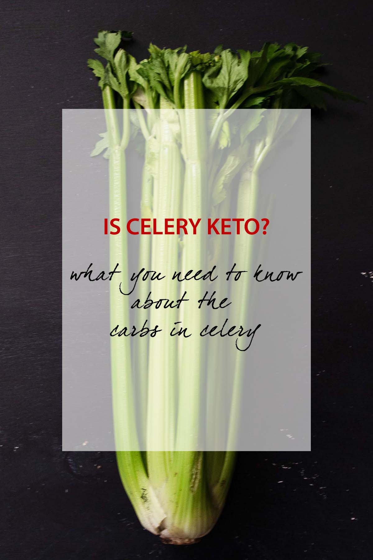 what you need to know about the carbs in keto celery