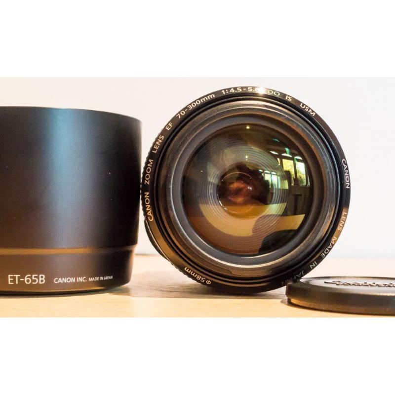 Canon EF 70-300mm- 4.5-5.6 DO IS USM fullframe lens
