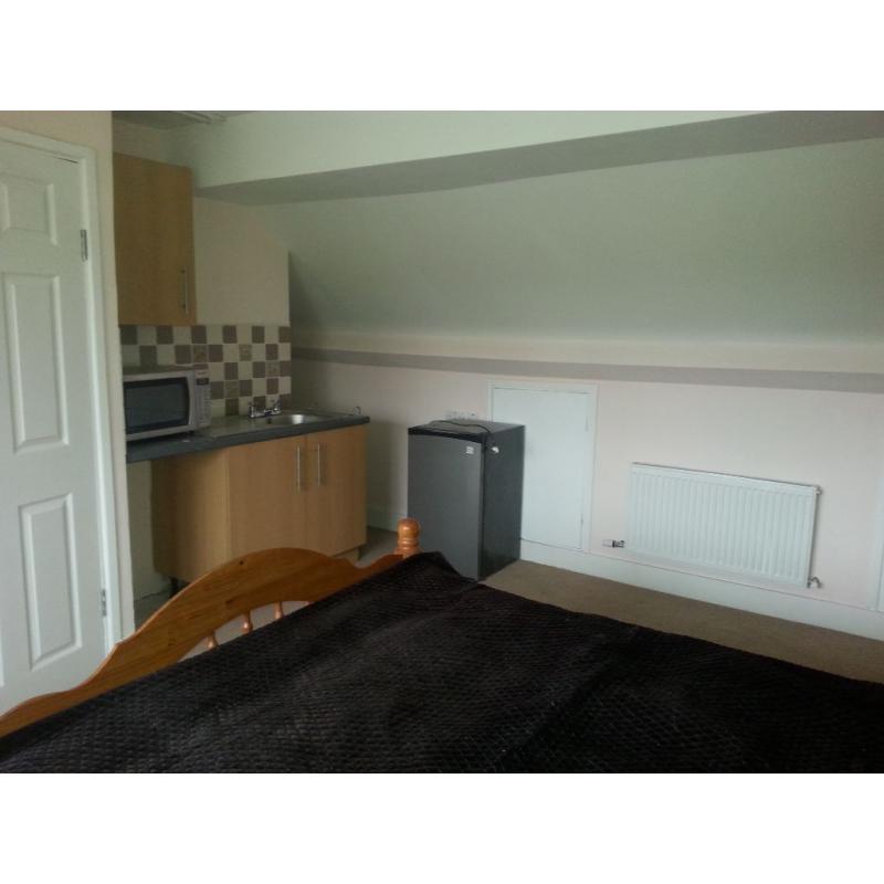 SELF CONTAINED STUDIO FLAT overlooking on Gunnersbury park GREAT location, very clean and quiet