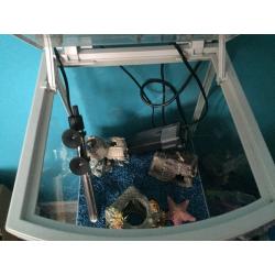 28ltr fish tank and stand