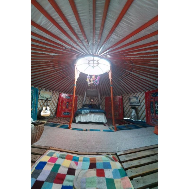 Mongolian Yurt/Gers - for Glamping, Eco Living, Campsites or Garden Furniture