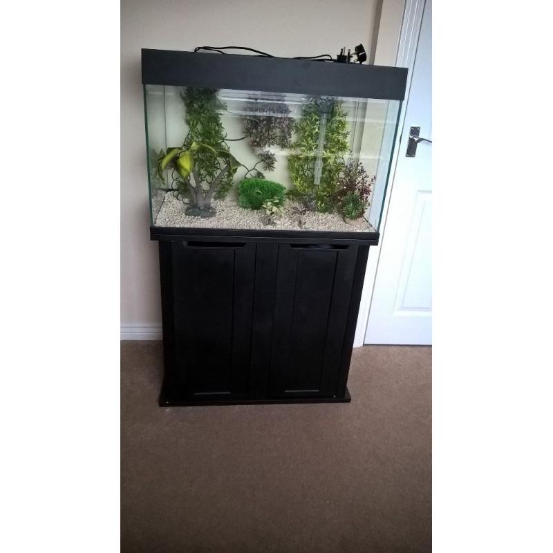 140 litre fish tank with cabinet and accessories