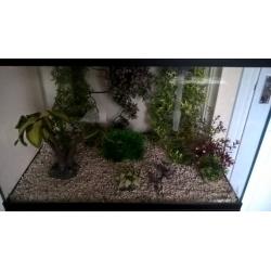 140 litre fish tank with cabinet and accessories
