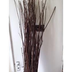 Decoration Brown twigs