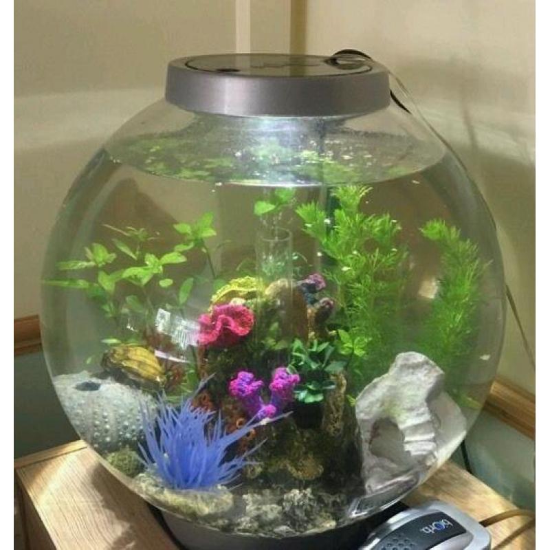 64ltr Fish Tank & 30ltr Biorb For Sale