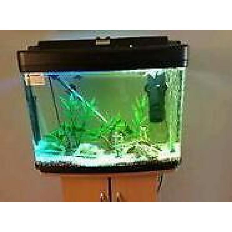 64ltr Fish Tank & 30ltr Biorb For Sale