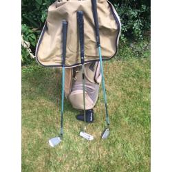 Immaculate condition Ladies 1200 Wilson Golf Clubs Ping bag