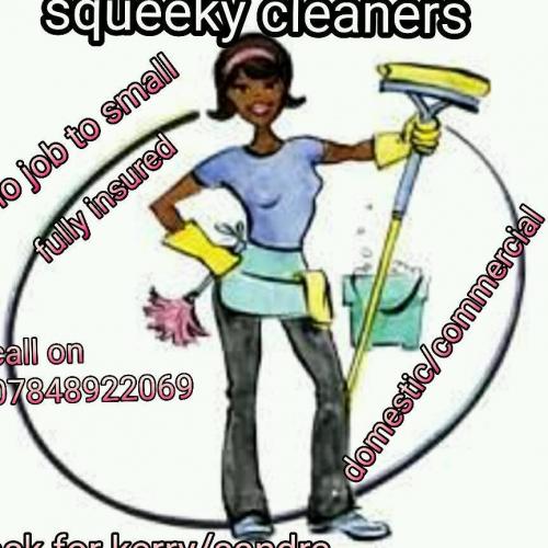 Squeaky cleaners