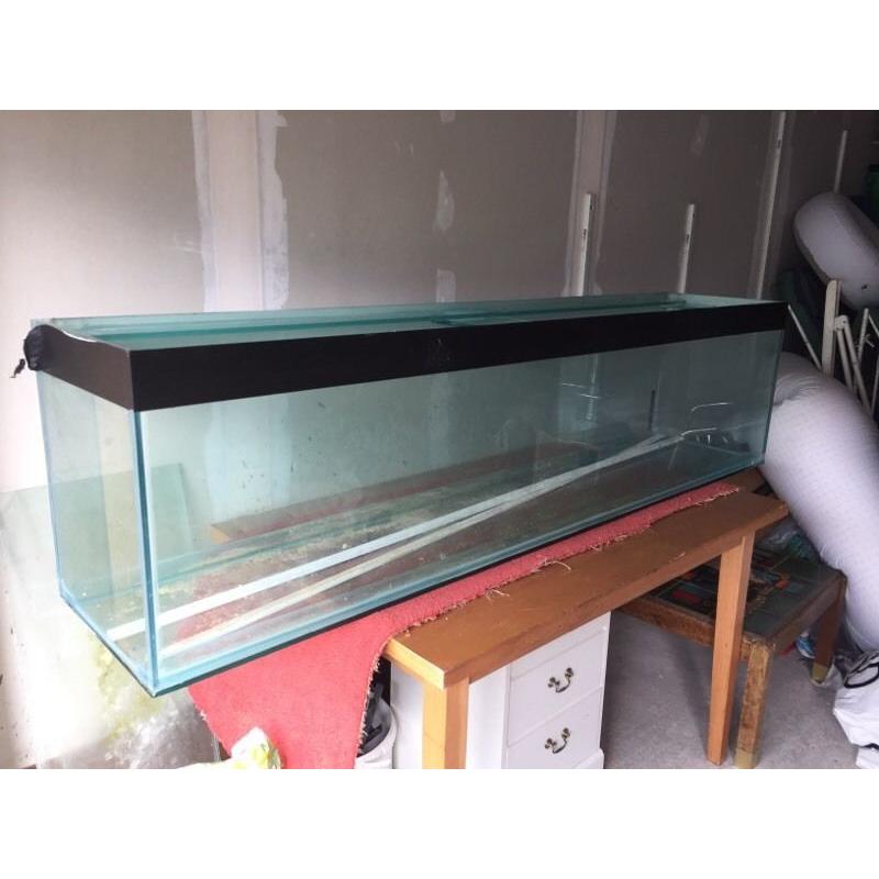 6ft fish tank aquarium