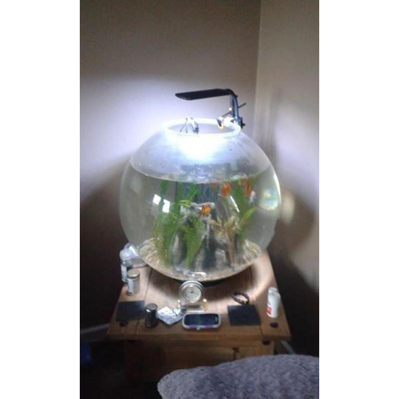 100 litre biorb style bowl fish tank