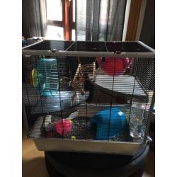 New rat cage with accessories