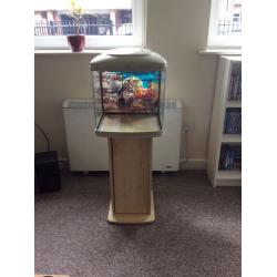 Used fish tank and accessories (great condition)