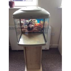 Used fish tank and accessories (great condition)