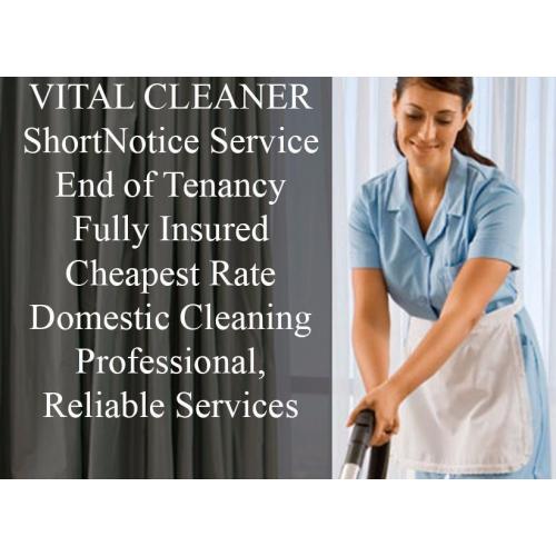 END OF TENANCY CLEANING/DOMESTIC CLEANING/CARPET CLEANING/OVEN/DOMESTIC/AFTER BUILDERS