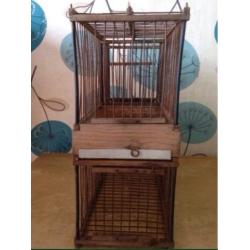 Bird trap cage for sale. Not suitable for wild birds.