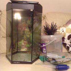 Fish tank and accessories.....??????