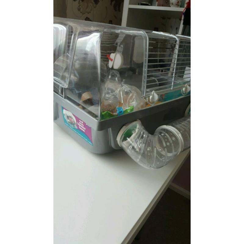 Hamster cage with accessories and food