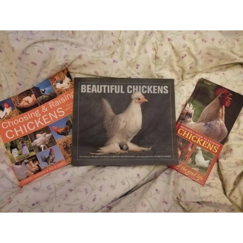 Chicken books x3