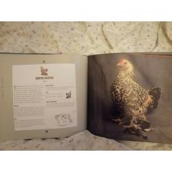 Chicken books x3