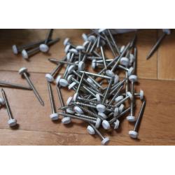 Around a dozen boxes of polytops Nails, stainless steel. 50mm