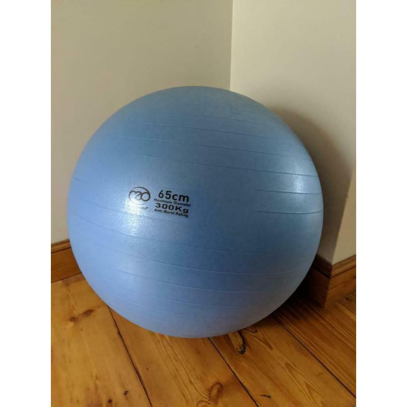 Swiss Ball (Exercise or Pregnancy Ball)