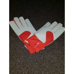 Adidas Goalie gloves