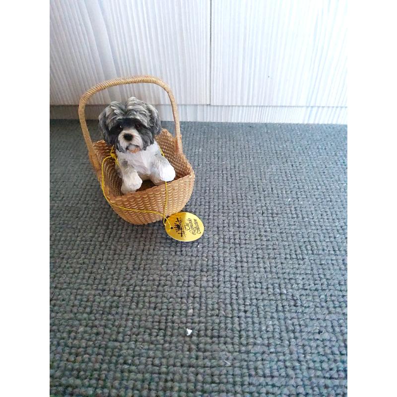 Shih tzu dog in a basket with box and label. Vgc